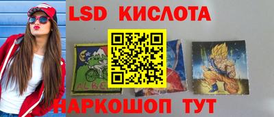 прущие грибы Магадан