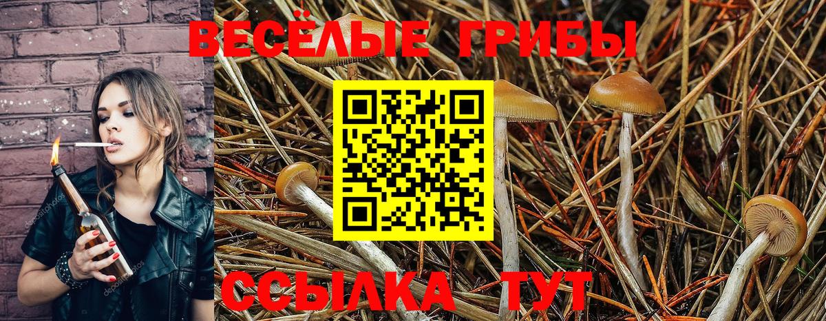 Псилоцибиновые грибы прущие грибы Крымск